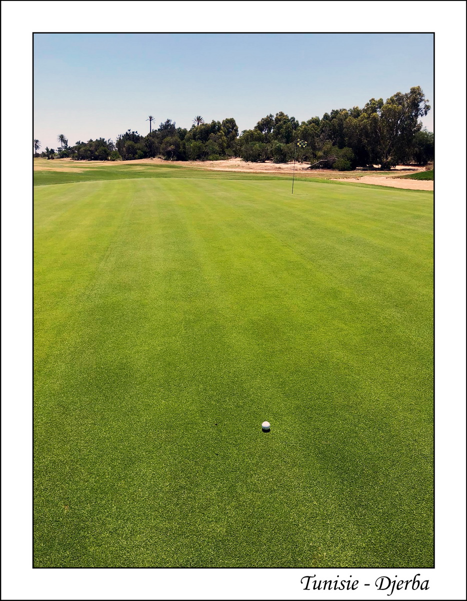 2018 - 05 - Djerba - 56